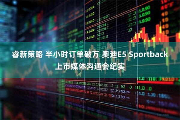 睿新策略 半小时订单破万 奥迪E5 Sportback上市媒体沟通会纪实